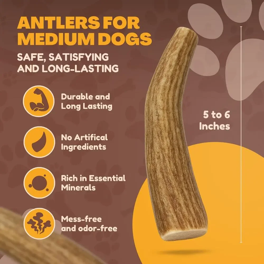 NWT WhiteTail Naturals - 3 Pack Medium Dog Chews - All Natural Antlers for Dogs